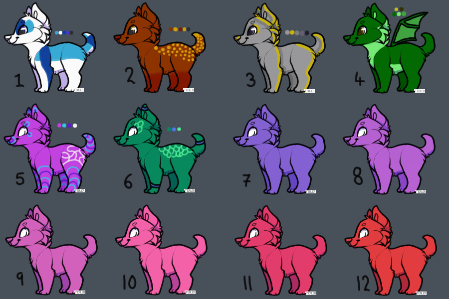Adoptable Dogs