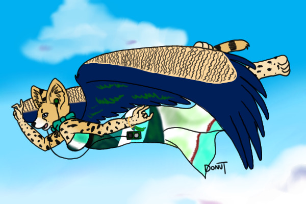 Flying High