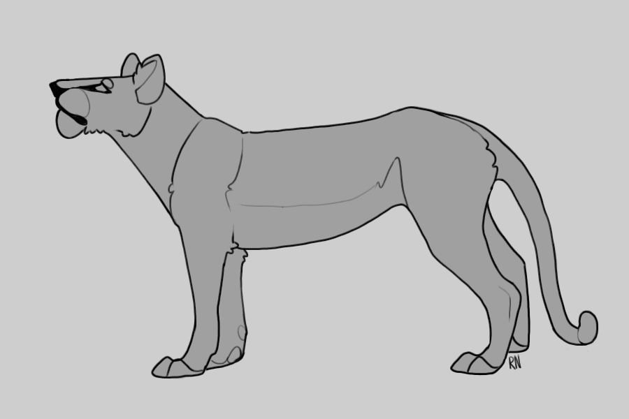 lioness + lion colour-in