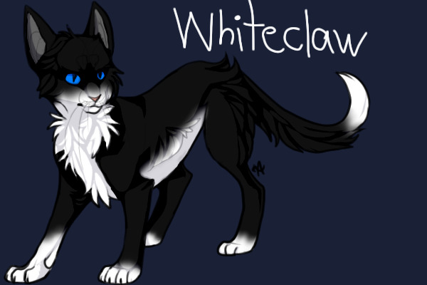 Whiteclaw (Deputy of AzureClan)