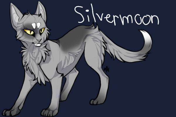 Silvermoon (Warrior of AzureClan)
