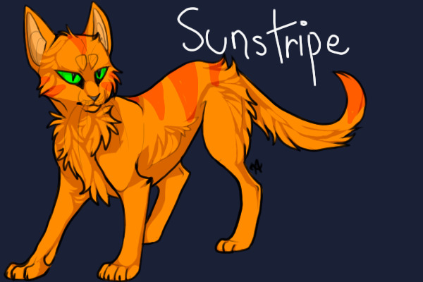 Sunstripe (Warrior of AzureClan)