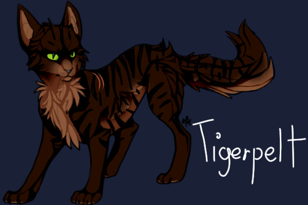 Tigerpelt (Warrior of AzureClan)