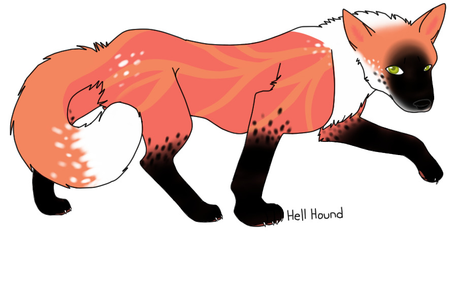 A Foxy Look