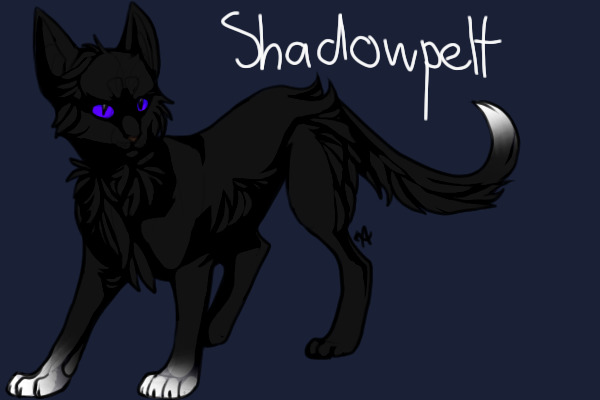 Shadowpelt (Warrior of AzureClan)