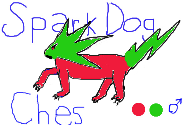 Ches-Spark Dog