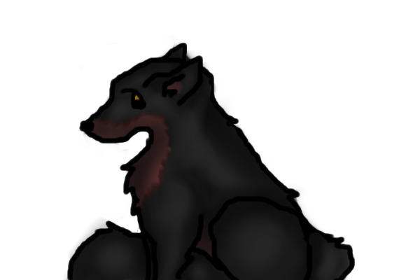 Red-black wolf