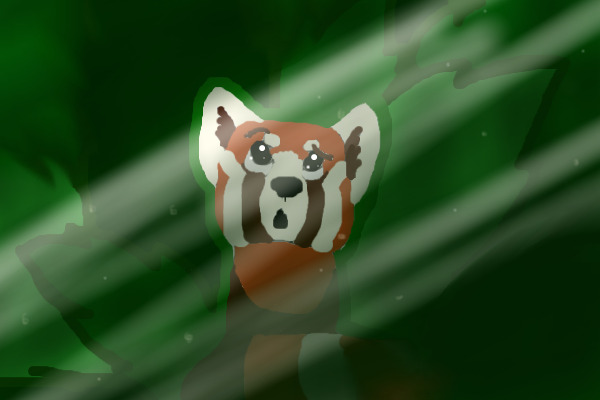 Red Panda!!!