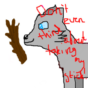 Jayfeather and his stick