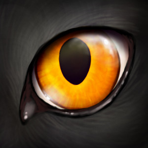 Sakari's Eye :3