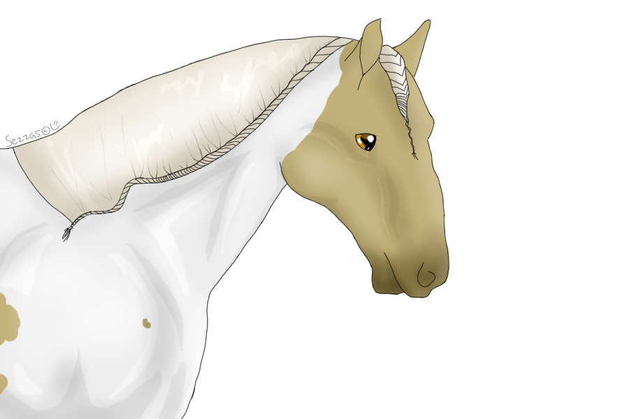 Horse Headshot {Vanilla Cheesecake}