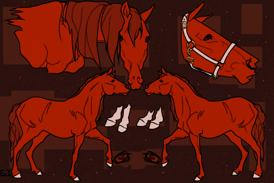 Multiple View Horse Reference!~