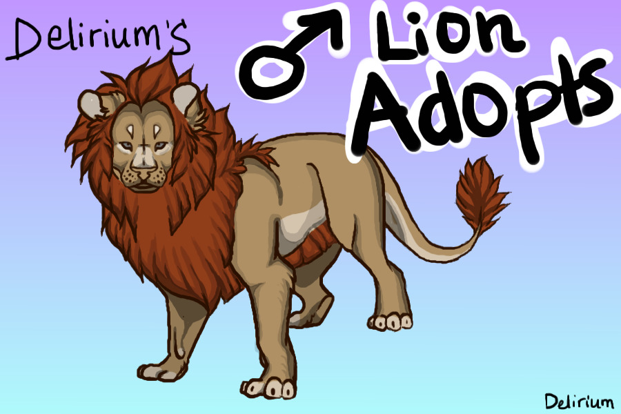 Male Lion Adopts