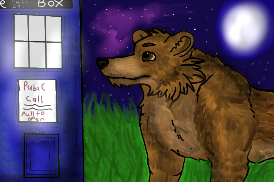 Bear and the Tardis