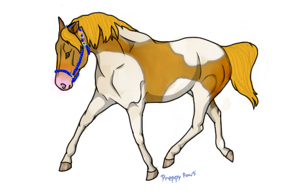 AWESOME PONY!!!!!!!!!!!!!!!!!!!