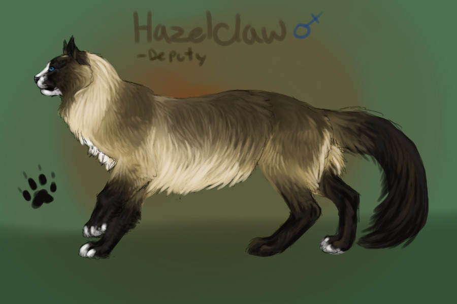 Hazelclaw - Deputy of Eagleclan