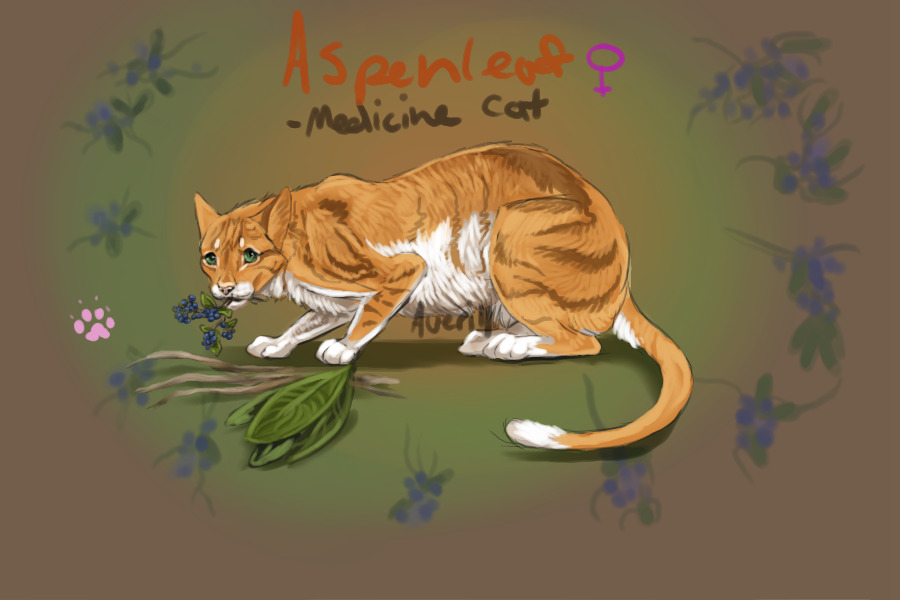Aspenleaf - medicine cat