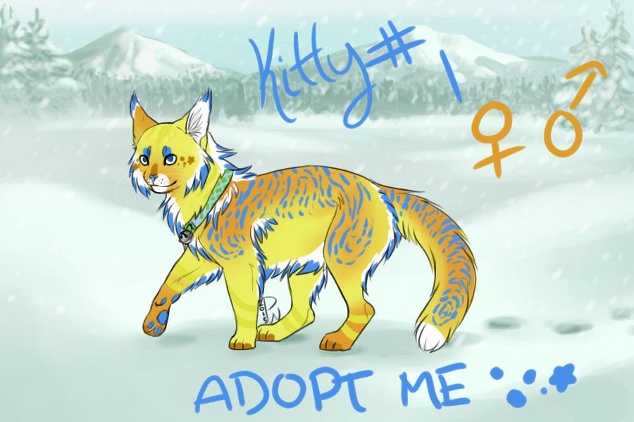 cat #1;; adopt me!
