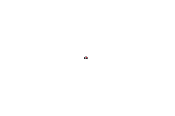 Pixel pets