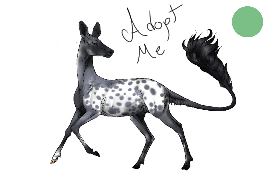 Cerkket: Blue Roan Extended Blanket