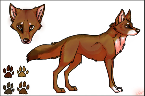 Ref Sheet for Cookie the Fox
