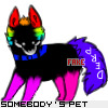 Rainbow Derpy Wolf 2