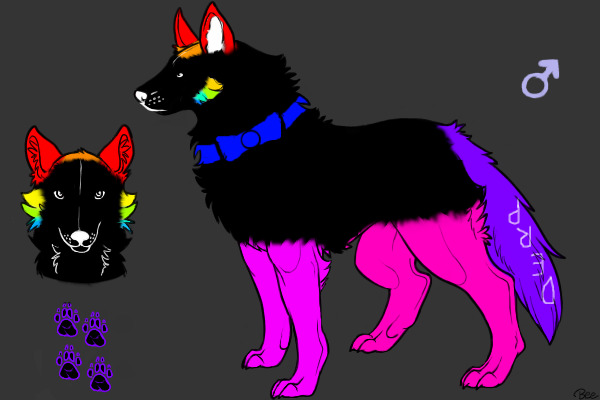 Rainbow Derpy Wolf 4