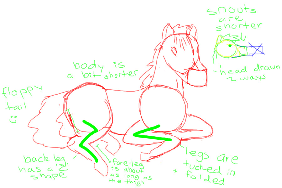 Horse Anatomy Help