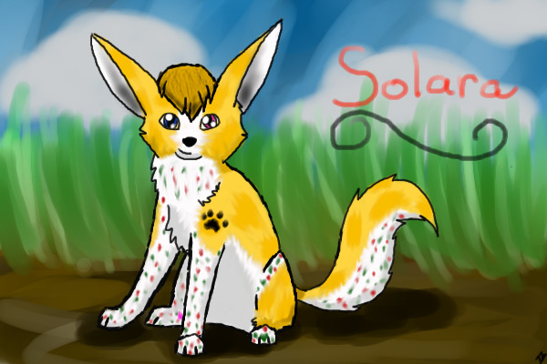 Solara