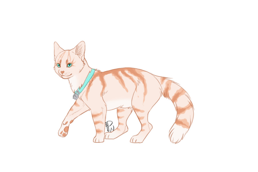Kitty