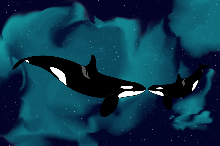 Killer whales and space