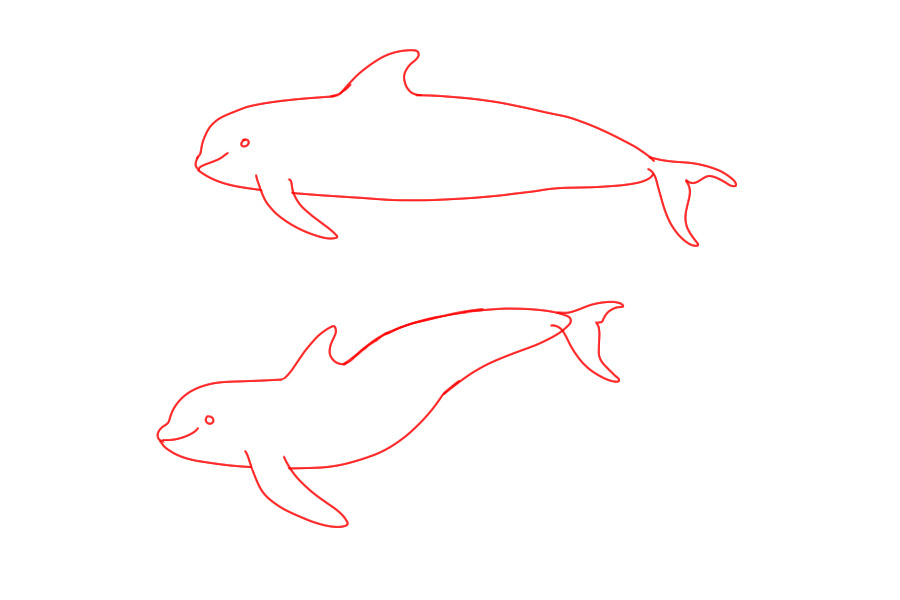 Pilot whale cuties