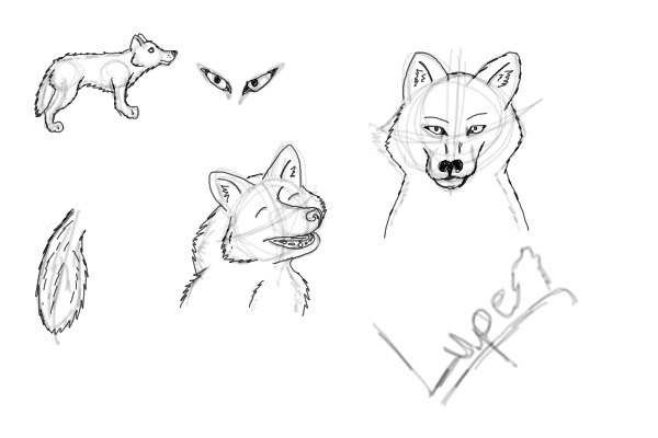Wolf sketches