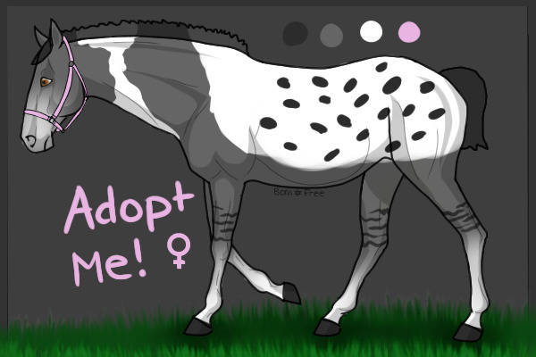 Freeborn Ranch #141 - [OPEN]