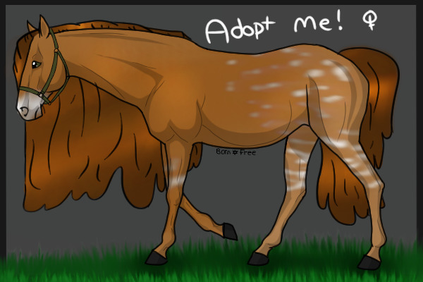 Freeborn Ranch #142 - [OPEN]