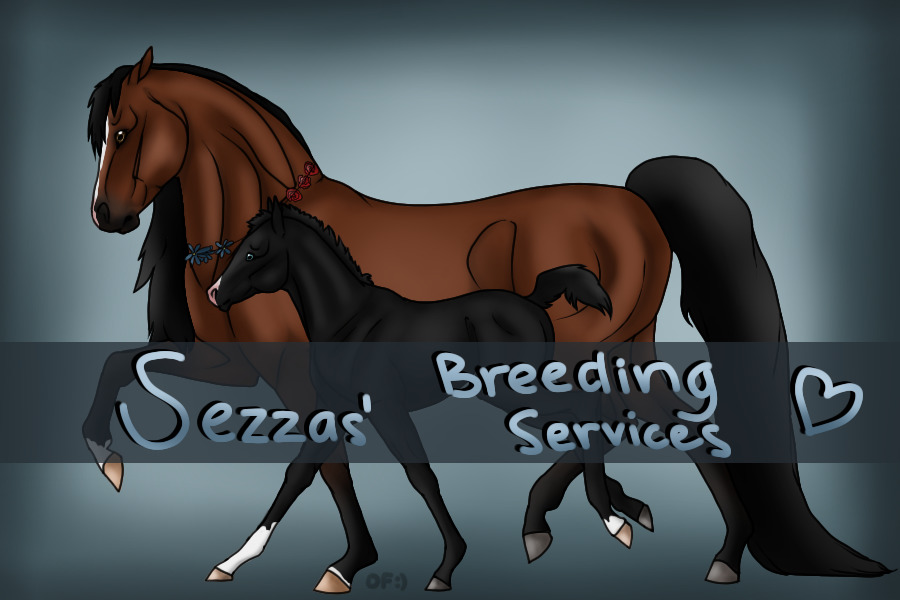 ღ Sezzas' Breeding Services ღ