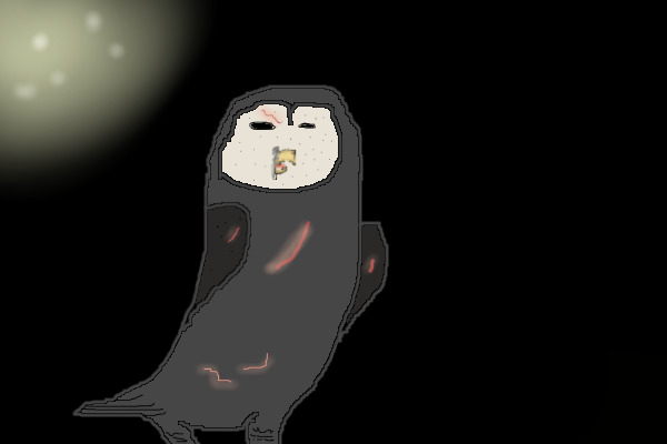 Owl in the Night
