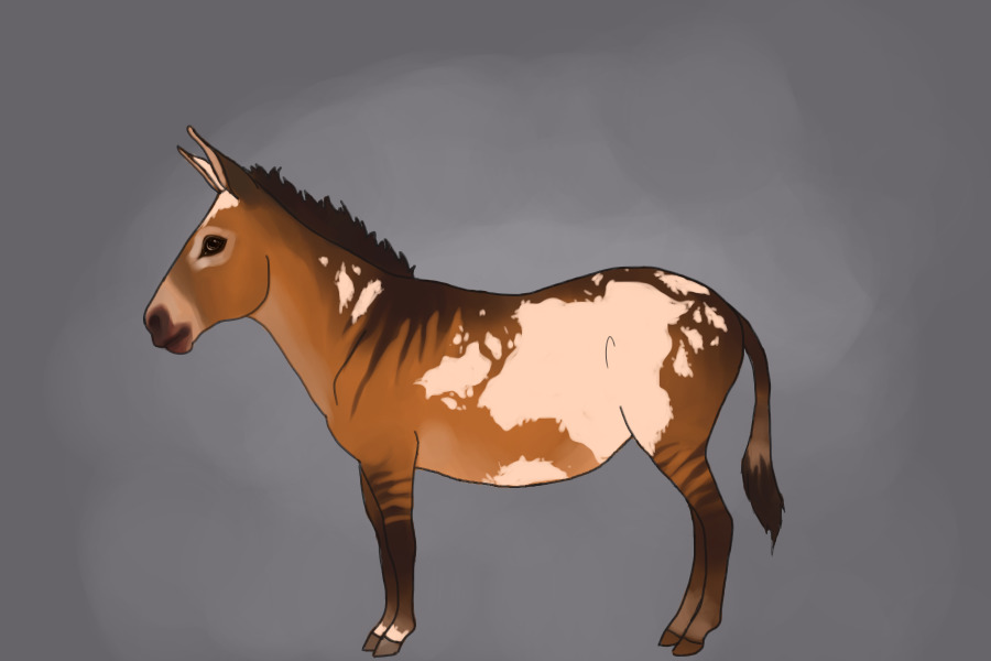 donkey design entry
