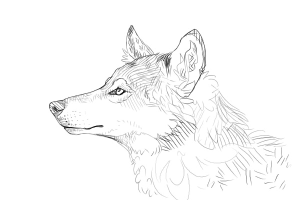 doodleyo