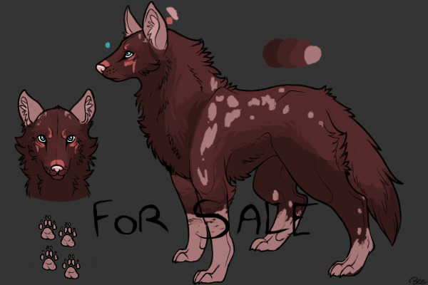 Charrie for sale! (Design 8)