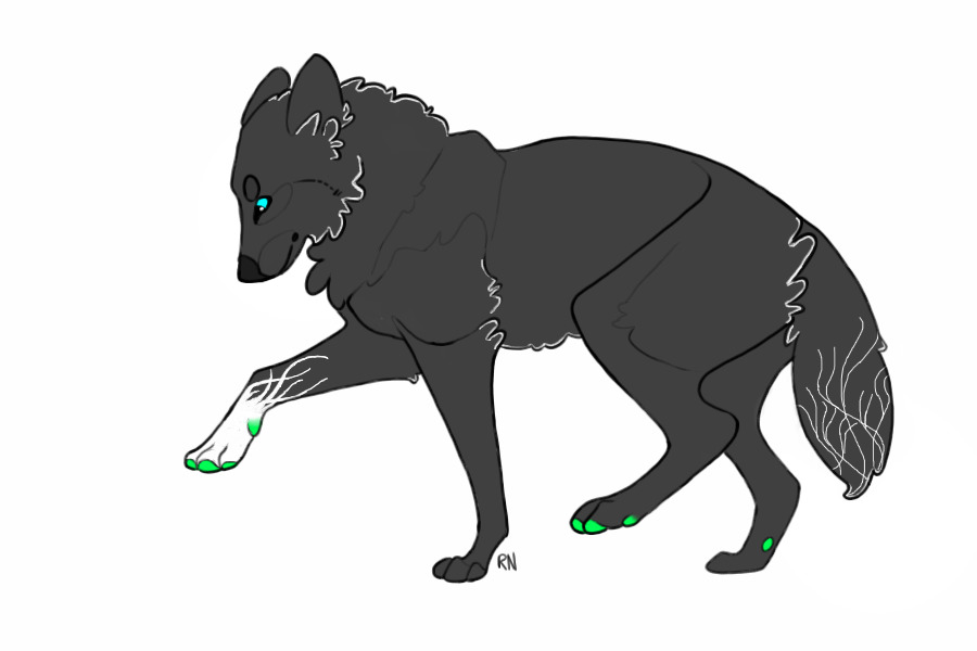 Wolf Design