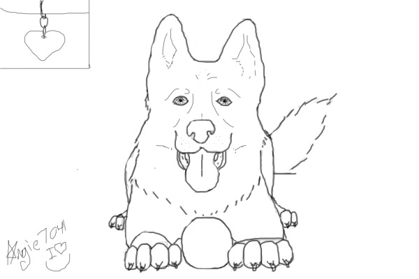 German Sheperd