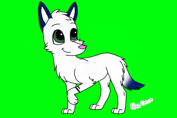 new fersona