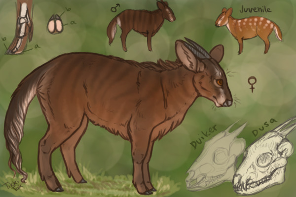 Create A Species Entry - Dusa