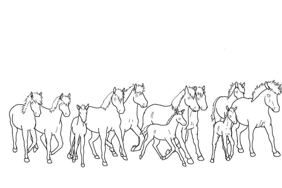 horse herd lines for :Hᴏᴏғ-Bᴇᴀᴛ: