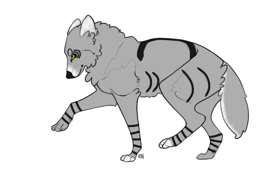 Kennel