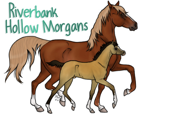Riverbank Hollow Morgans Artist Search