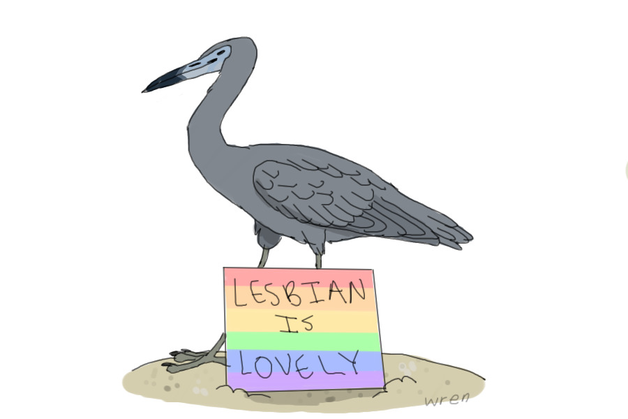 lily the lesbian little blue heron