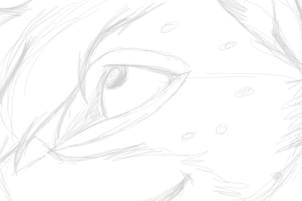 Close up of Okami's head. :P