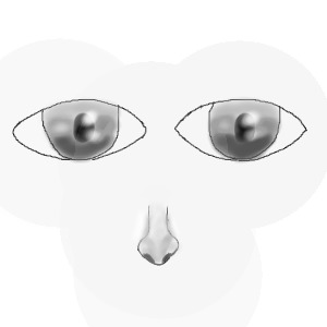 Coloreless Curiosity
